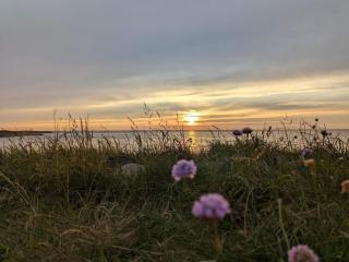 Idyllic Danish Farmhouse Retreat-By Traum - 2