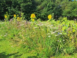 Idyllic Danish Farmhouse Retreat-By Traum - 1