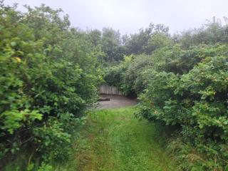 Idyllic Danish Farmhouse Retreat-By Traum - 3