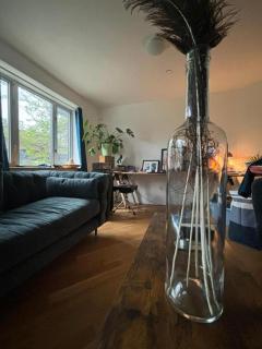 1 BEDROOM WITH SLEEPING IN LIVING ROOM Williamburg - 6