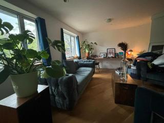 1 BEDROOM WITH SLEEPING IN LIVING ROOM Williamburg - 2