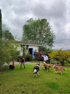 Buriti EcoH RNT56521, via Termales Santa Rosa de Cabal - 3