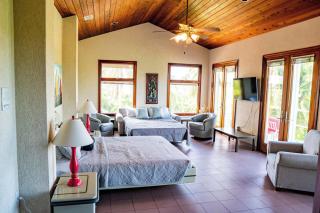 Castaway Dreams Villa St Croix - 8