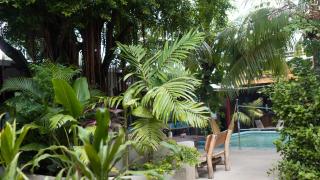 Surf Town Hostel - 4