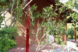 Nguyet Que Homestay & Tours - 9