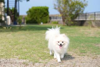 鶴羽リゾート - 7