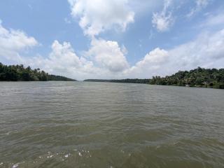 Rosellas Munroe East Kallada - 9