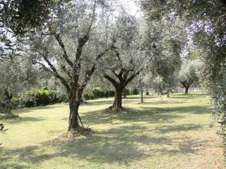 B&B Agli Ulivi - Manerba del Garda - 1
