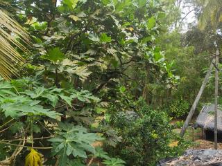 Lakshika tent stay - 3