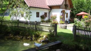 Ferienhaus Lenzau - 1