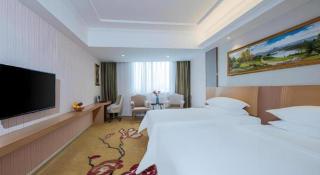 Vienna Hotel Guangzhou Baiyun Airport Huadu Avenue - 6