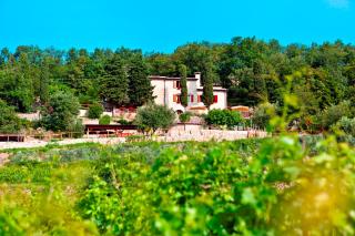 B&B Le Corone - Cavalo - 0