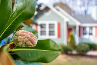 Cozy Pet-friendly home in Five Points Raleigh - 7