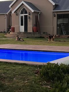 The Schoolhouse at Meulplaas - 4