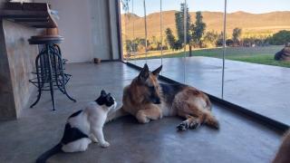 The Schoolhouse at Meulplaas - 2