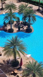 Уютная студия в жилом комплексе в заповедном уголке Пхукета - 7