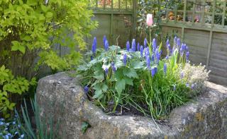 Bear's Cottage Bretforton - 7