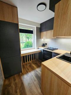 Apartament WiOsNa Krynica-Zdrój - 2