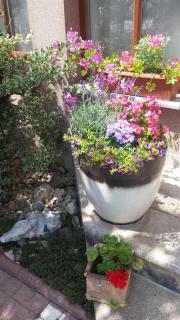 Guest House Isabel - 1