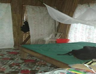 PNGFE Nagu Home-stay & Tours - 5
