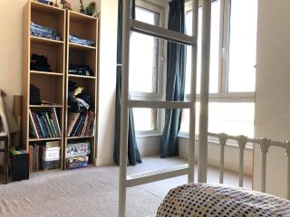 Homely Spacious 3 bedrooms duplex with roof-top next to Victoria Park & regent's canal in vibrant East End London - 2