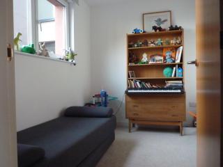 Homely Spacious 3 bedrooms duplex with roof-top next to Victoria Park & regent's canal in vibrant East End London - 1