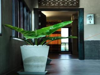 Loft Living Hotel Khonkaen - 9
