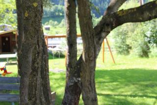 Appartement Ackerli - 3