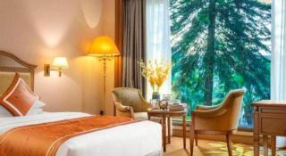 Country Garden Phoenix Hotel Foshan - 9