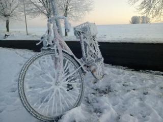 Cozy Apartment in Rerik with Sea Near - 8