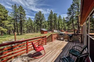 Gorgeous Historic 3 BR Log Cabin w Forest Views 20 Minutes from Flagstaff Now with Wi-Fi - 9