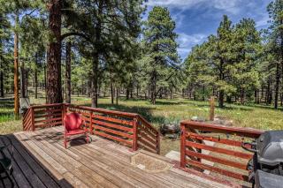 Gorgeous Historic 3 BR Log Cabin w Forest Views 20 Minutes from Flagstaff Now with Wi-Fi - 1