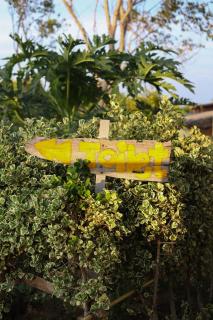 Parinya Hill Homestay & Cafe Koh Larn - Ko Larn - 5