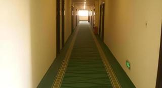 GreenTree Inn Cangzhou Construction Avenue Express - 5