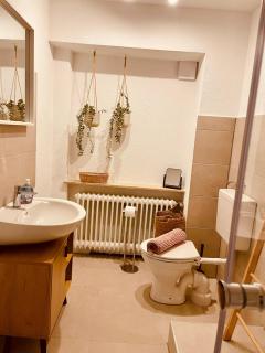 Odw homes - Large apartment with four bedrooms - 7