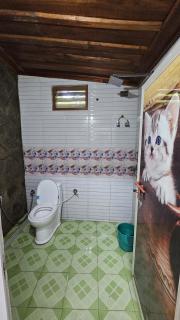 Cardamom valley Home stay - 1