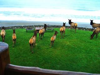 LX28: Gold Beach Oceanfront Estate - 3