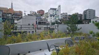 Seoul Felice - 7