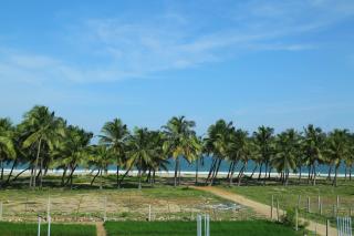 Seawave Beach Resort - 0