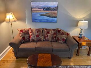 Bryn Mawr Spacious Grnd Floor Apt Free Parking - 0