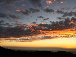 Exotic Stays Kasauli I The Mountain Peak I Guaranteed Best Price I Vacations I Family Events I Pet friendly & Serviced Apts I Kasauli - 8