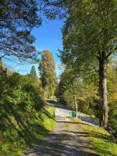 Landhaus Grünjuwel - 4