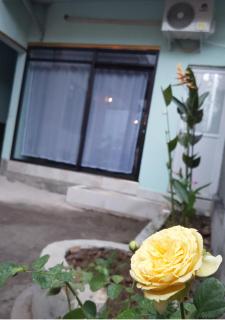 Traveling Guest House Lombok - 6