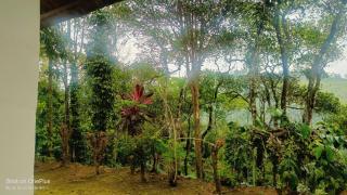 Verdant Vagamon Farm House - 7