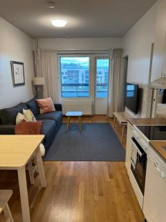Arctic Nest - cozy 40m2 apartment and parking in Rovaniemi - 7