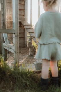 Landhoeve - Zwarteweg - 6