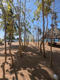 AFLII Beach Resorts Msangamkuu - 4