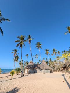 AFLII Beach Resorts Msangamkuu - 1