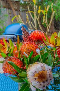 Margaret Retreat Pet Friendly Unit - 8