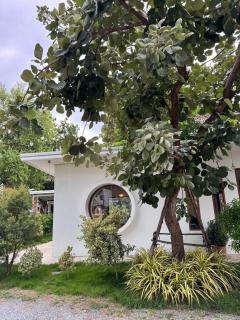 Pun's Garden Home - 9